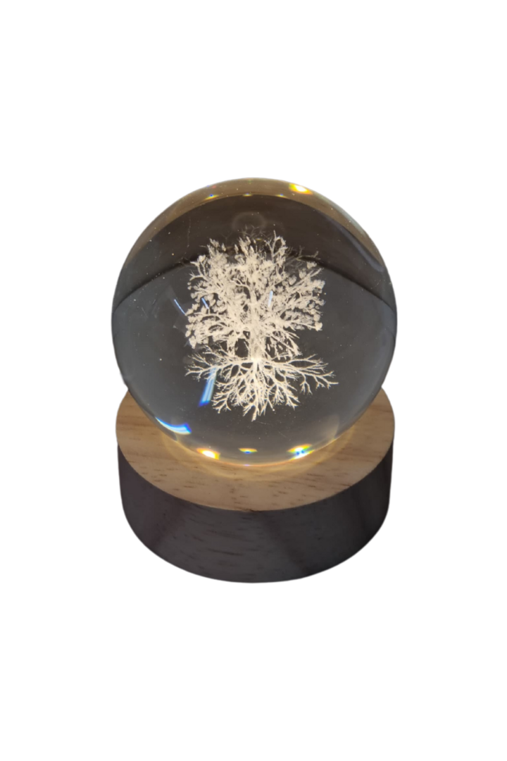Luminaria globo peq arvore 1