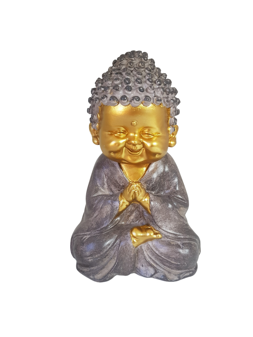Buda editado