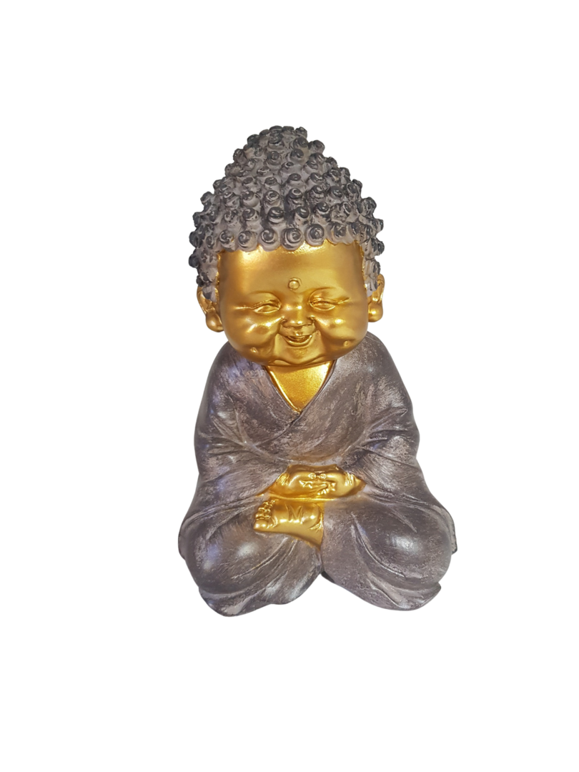 Buda 5 editado