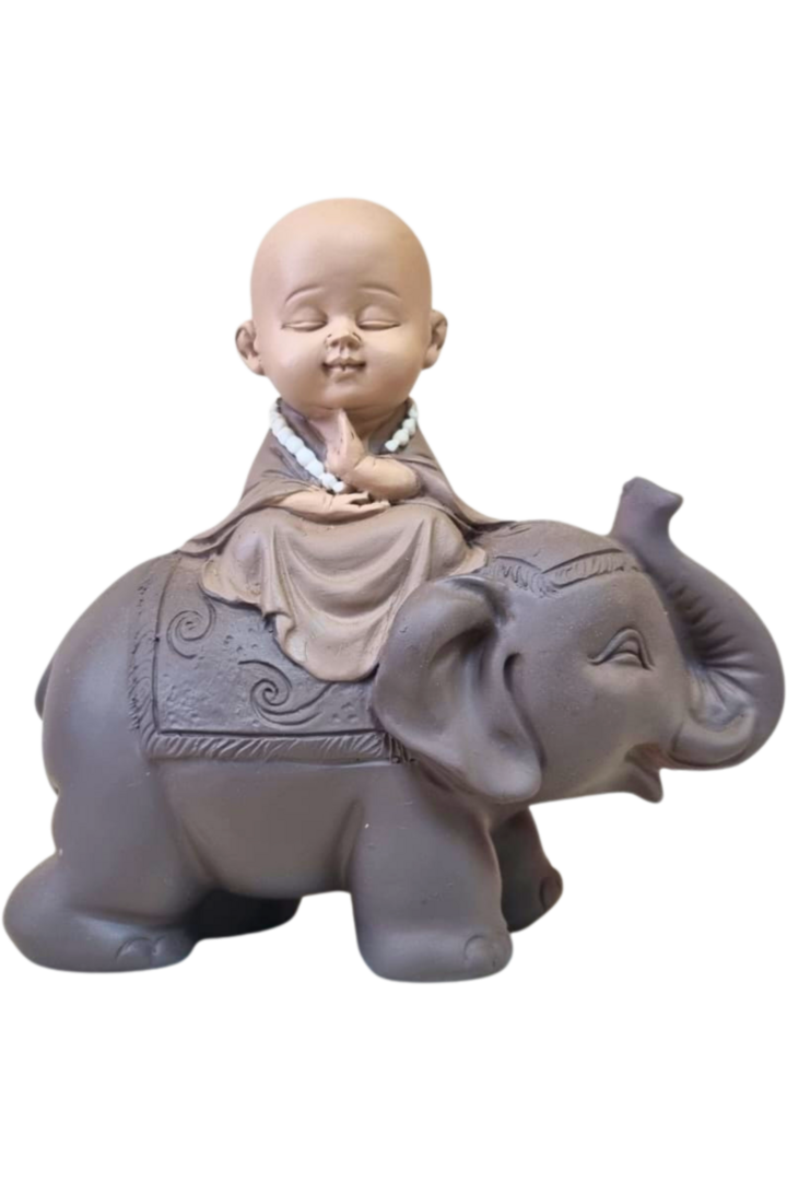 Monge no elefante 1