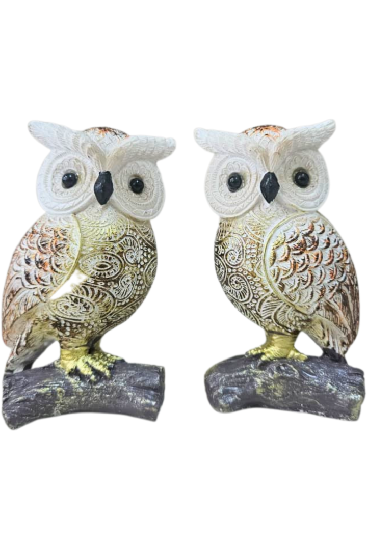 Coruja no tronco med 1