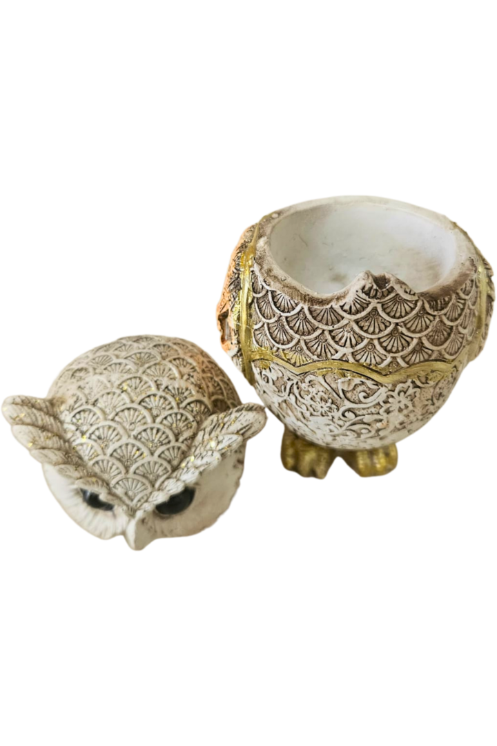 Coruja porta treco 3