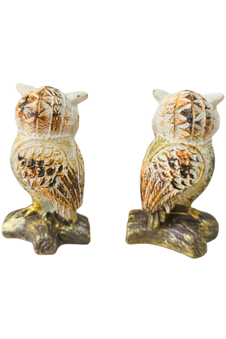 Coruja no tronco peq 2