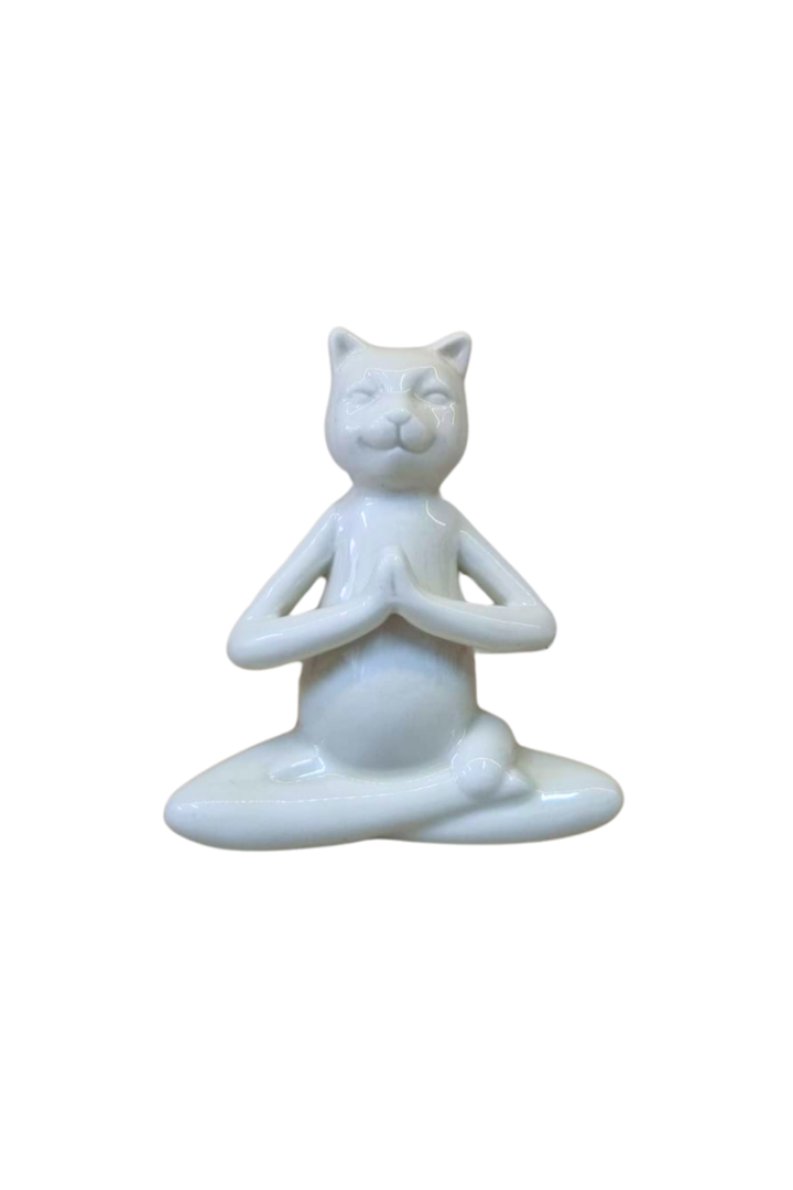 Gato branco 1