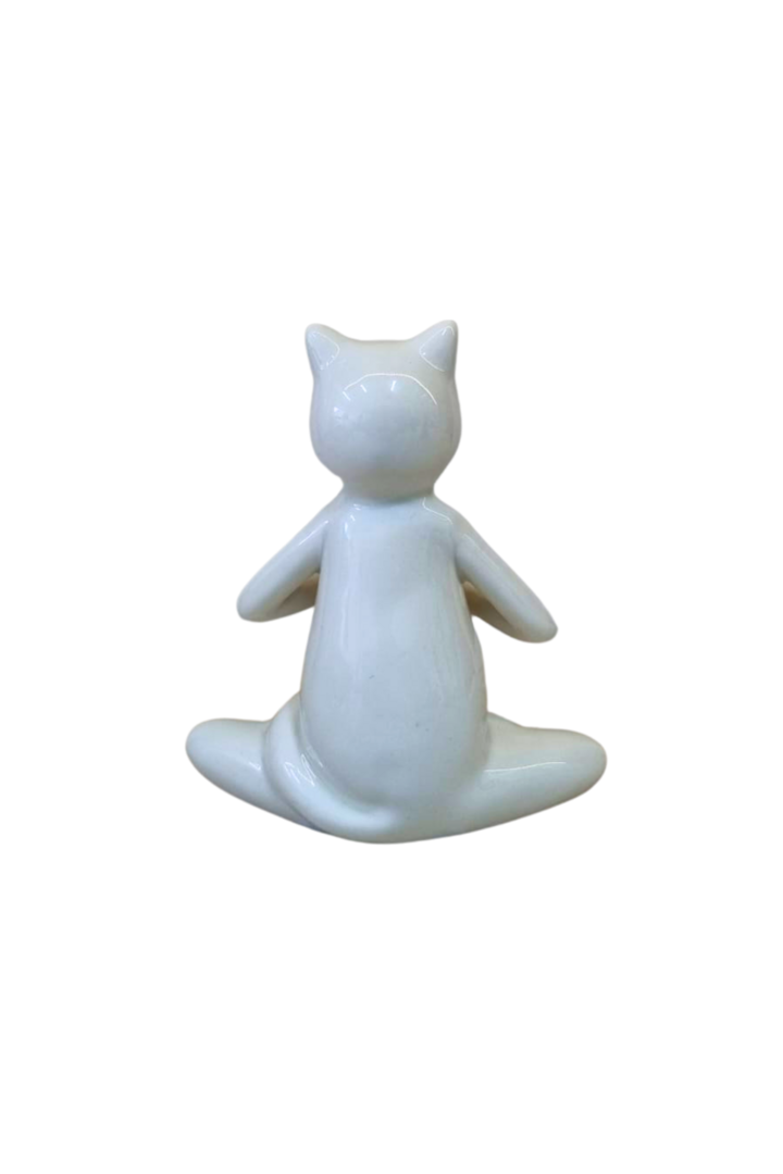 Gato branco 2