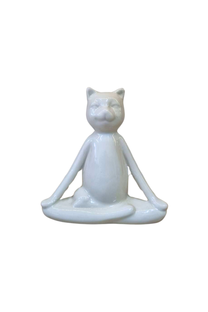 Gato branco 3