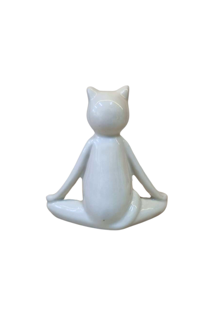 Gato branco 4