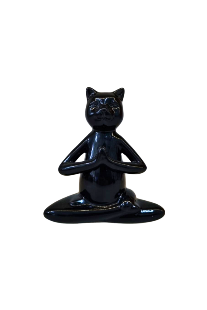 Gato preto 1