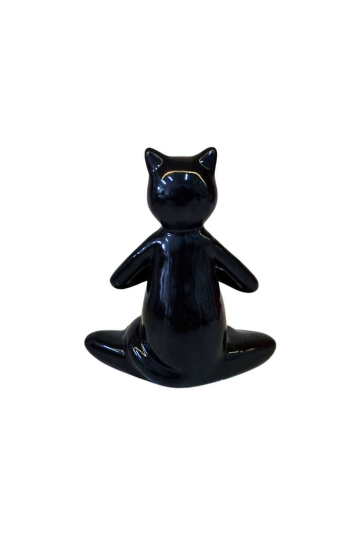 Gato preto 2