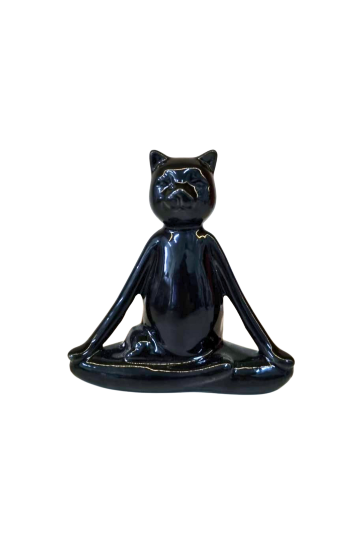 Gato preto 3