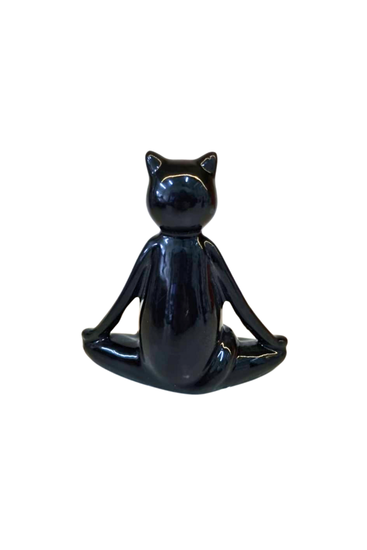 Gato preto 4