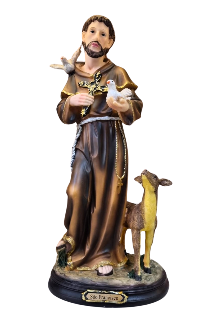 Sao fransisco 42cm 1