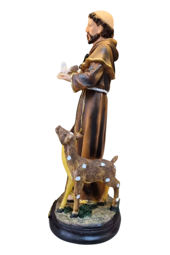 Sao fransisco 42cm 2