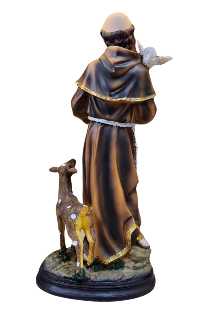 Sao fransisco 42cm 3