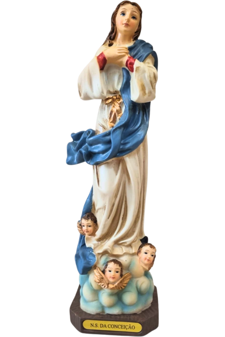 Nossa senhora conceicao 1
