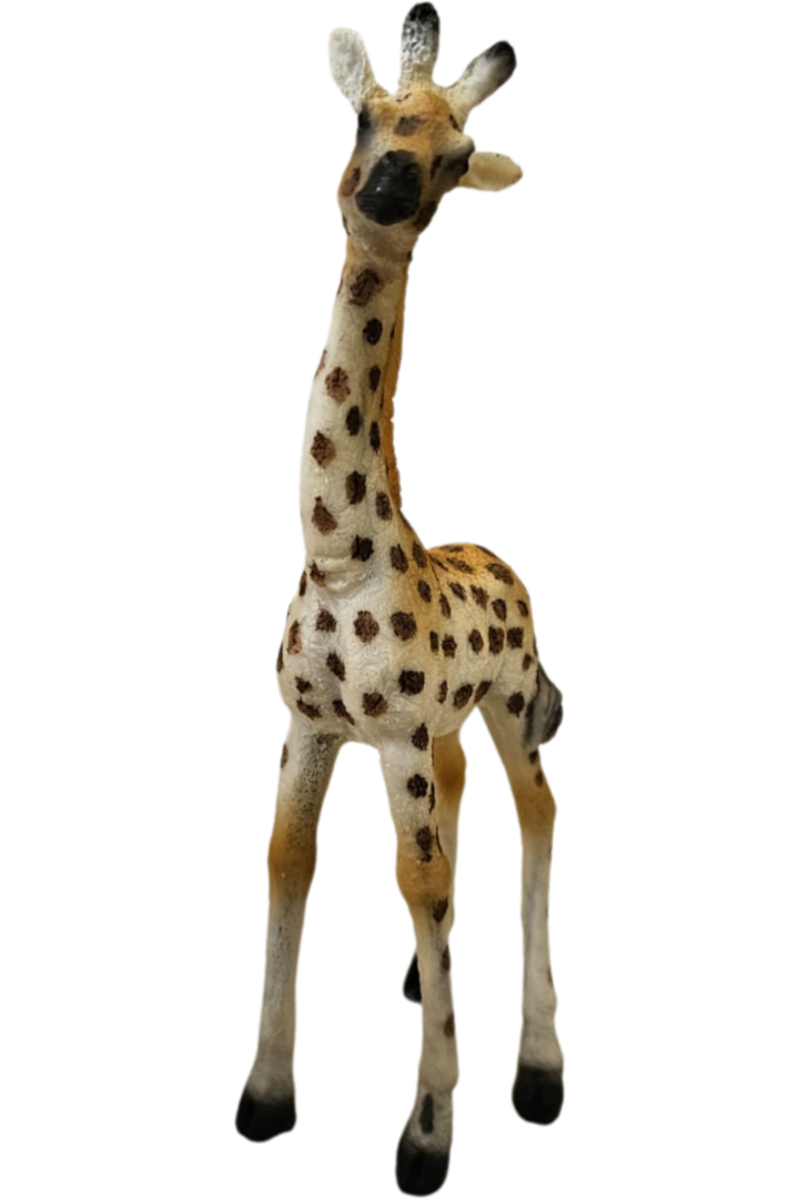 Girafa 1