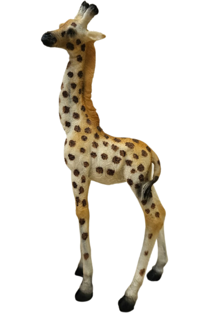 Girafa 2