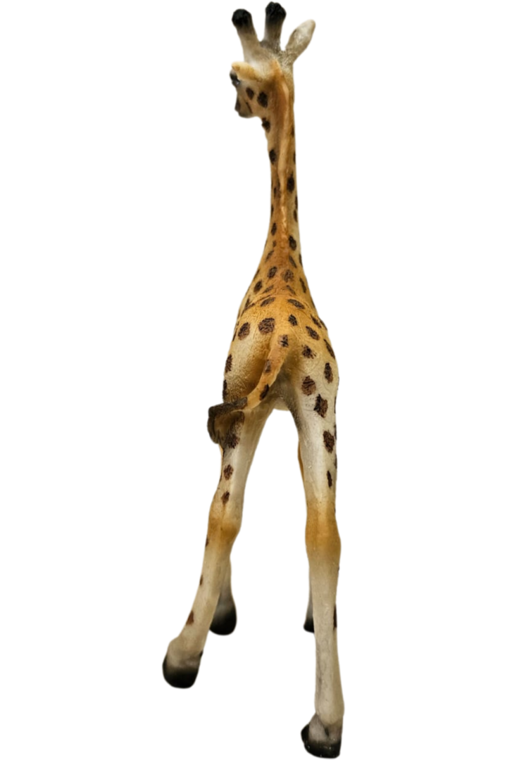Girafa 3