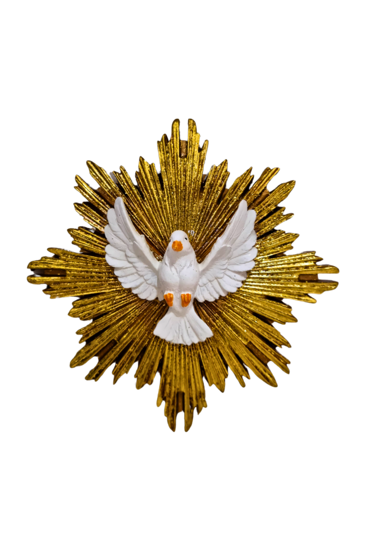 Espirito santo resina alj21c 1