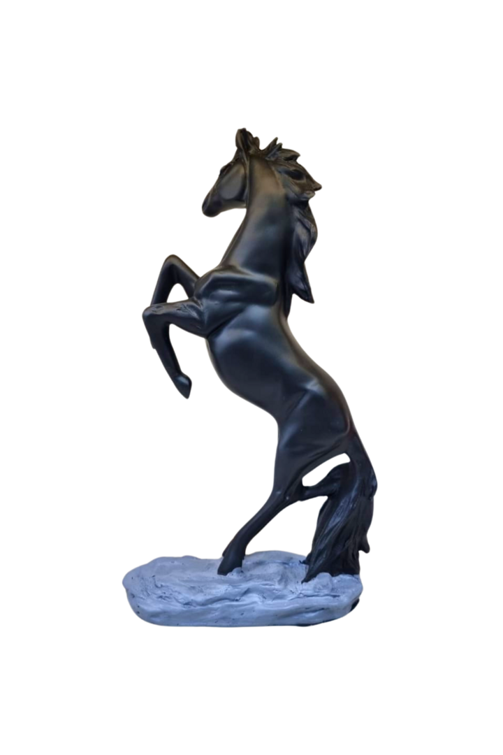 3900156bmsfqaxvhr