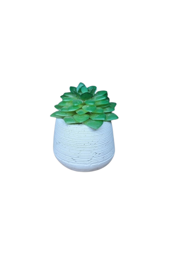 Vaso com leguminosa 1
