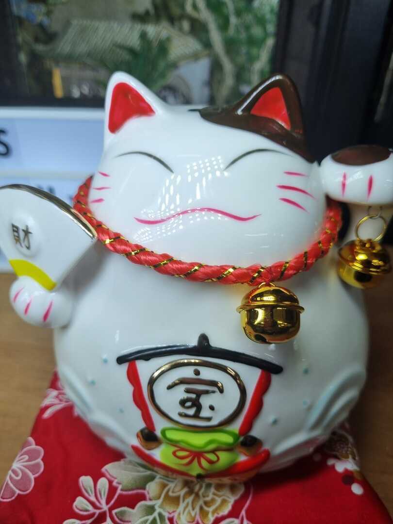 Whatsapp image 2023 08 21 at 17.33.03 2