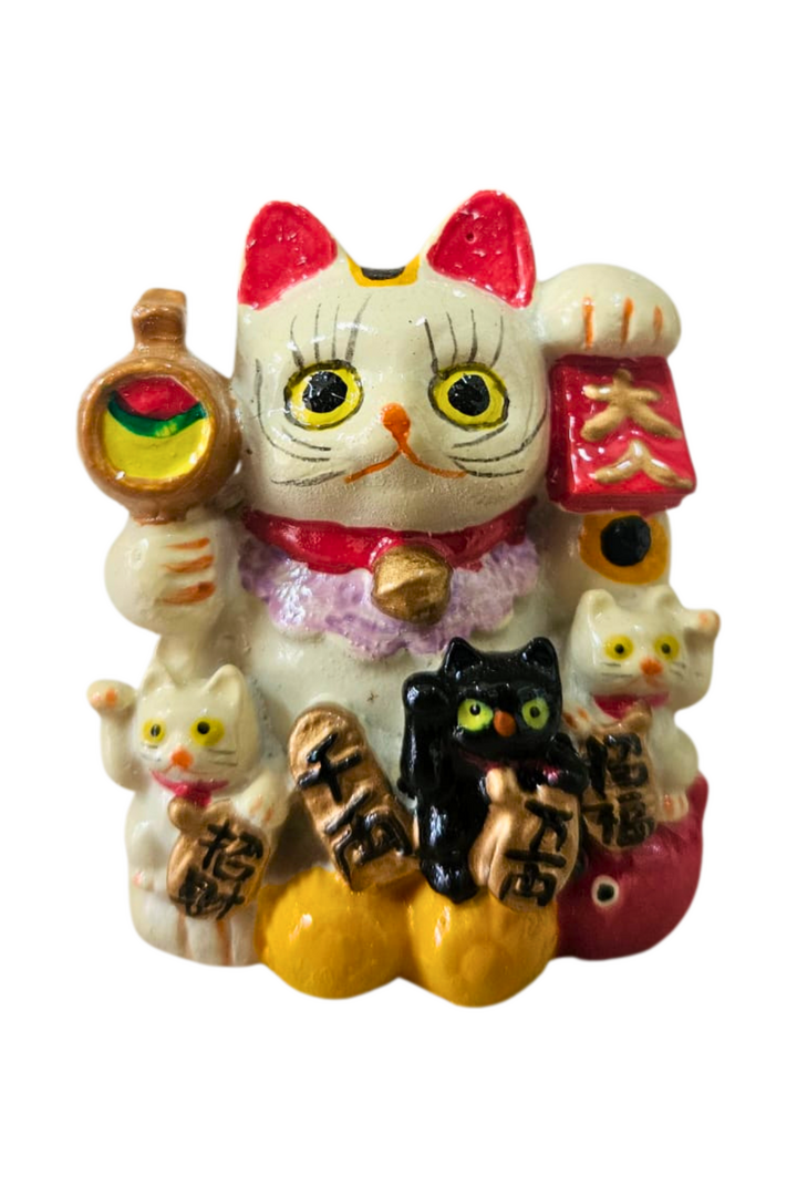 Gatinho pequeno filhote 1