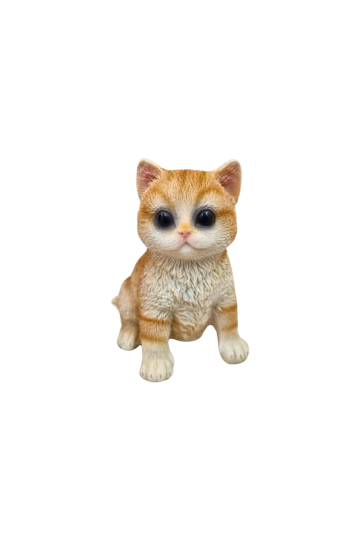 Gato sentado laranja 1
