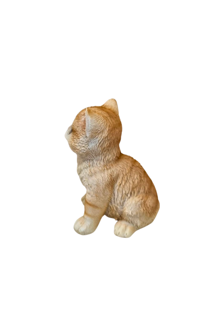 Gato sentado laranja 2