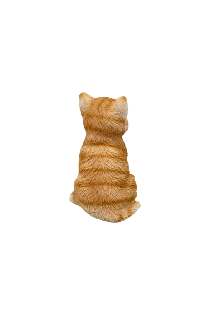Gato sentado laranja 3