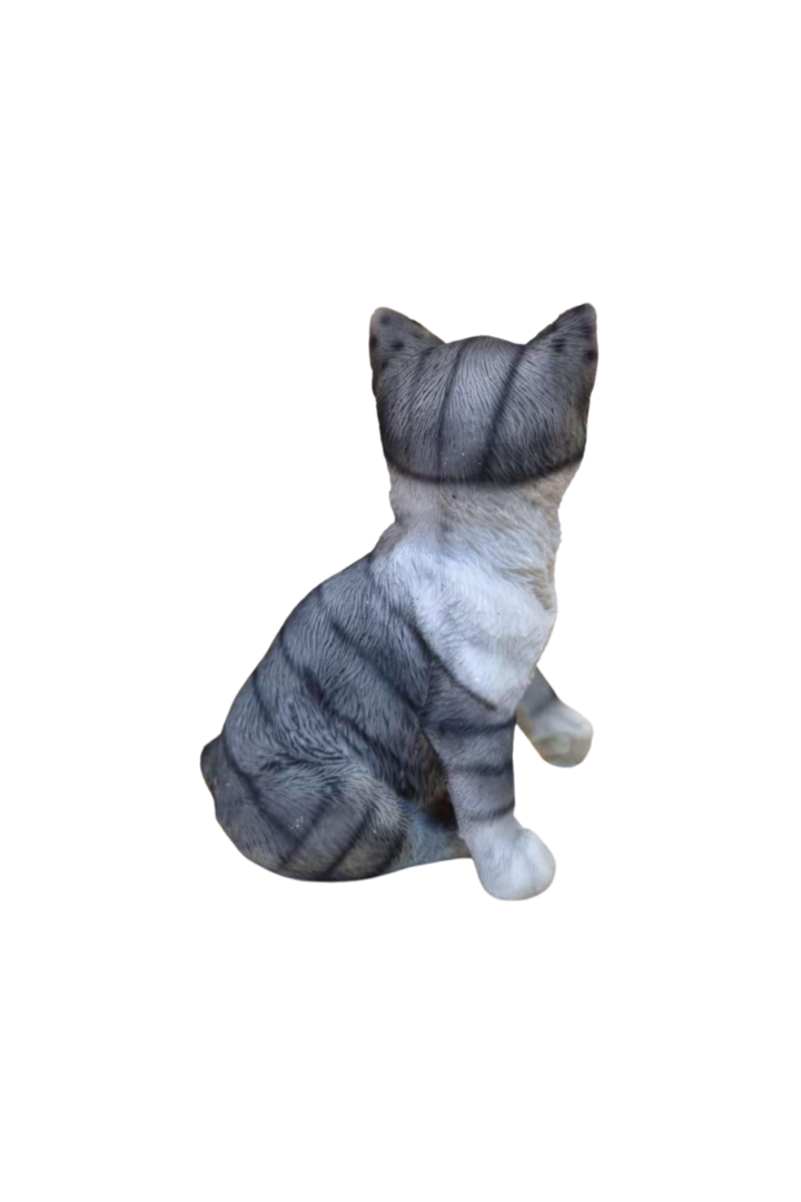 Gato sentado cinza 2