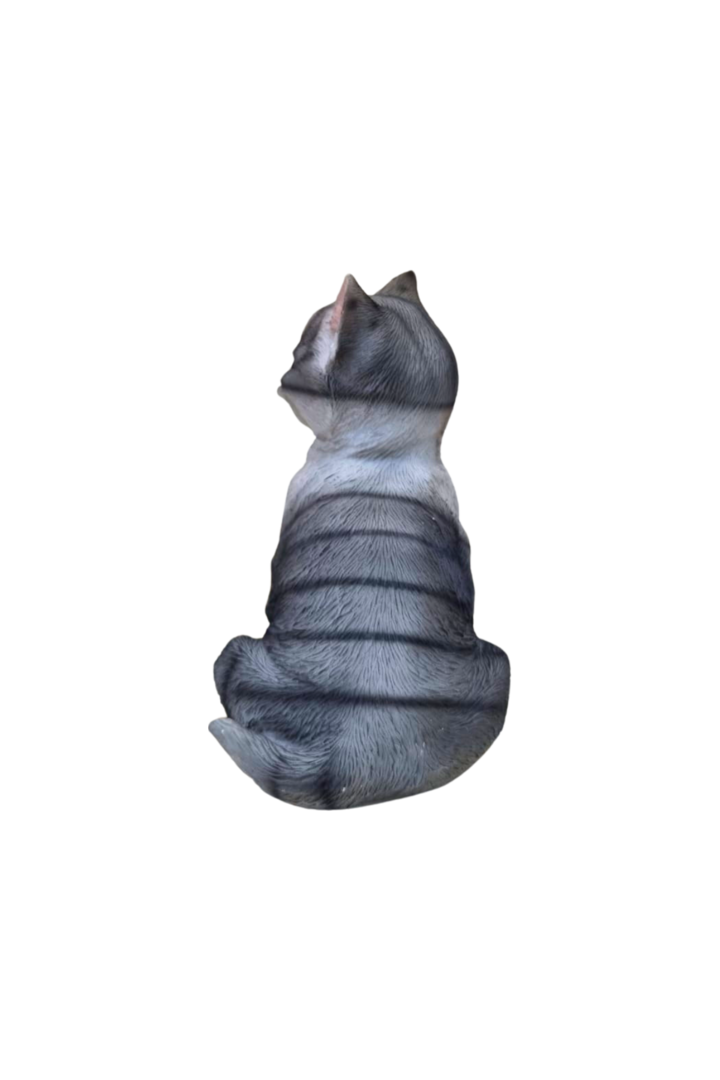 Gato sentado cinza 3