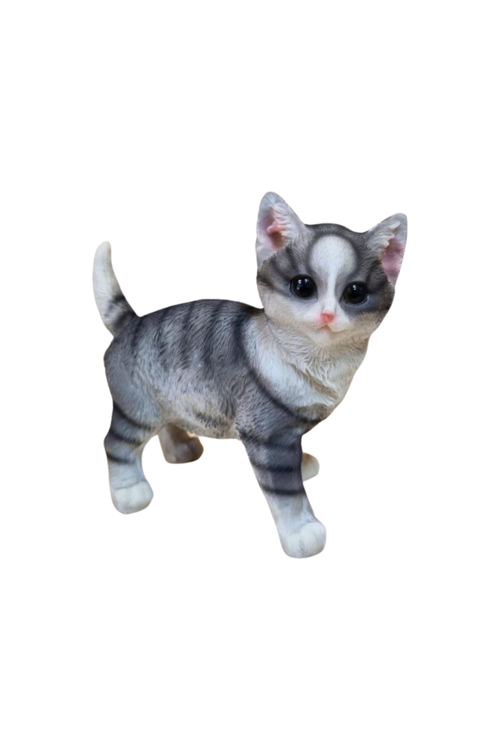 Gato em pe cinza 1