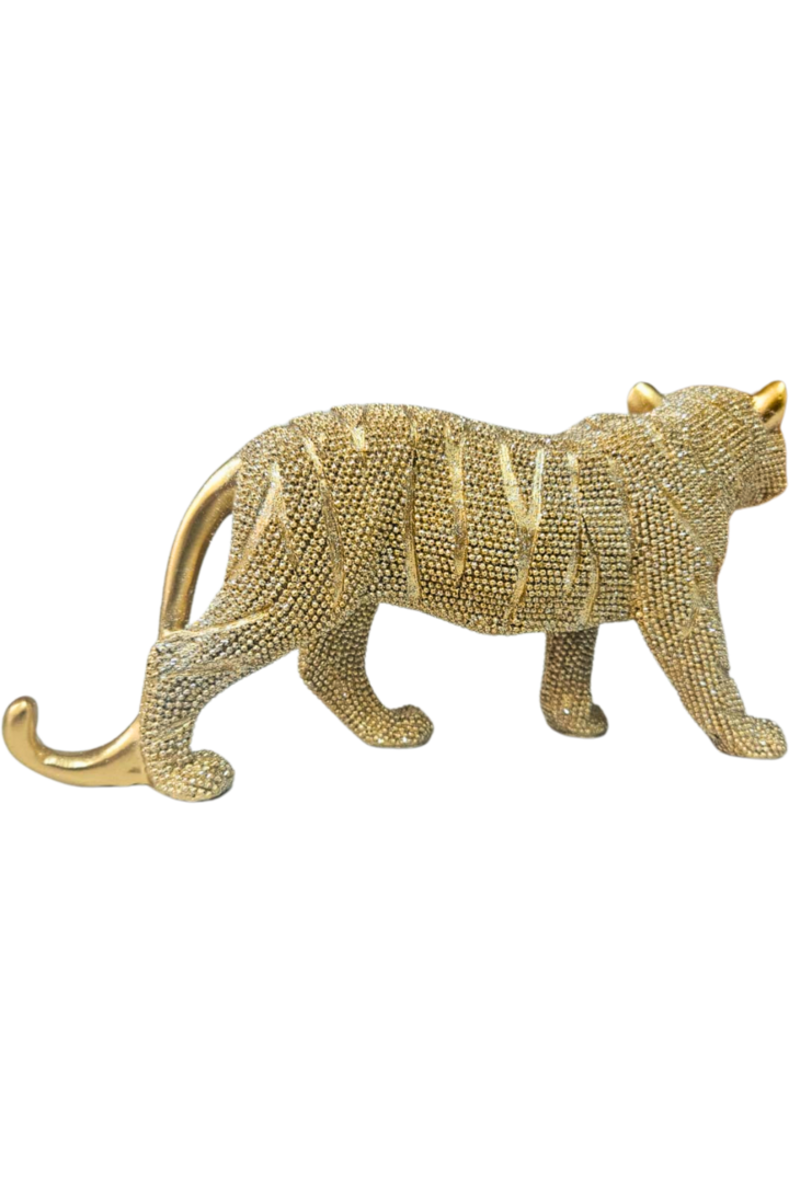 Tigre 2