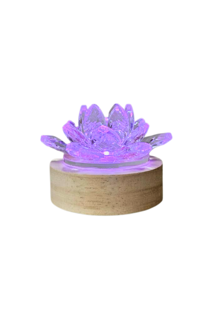 Luminaria lotus 2