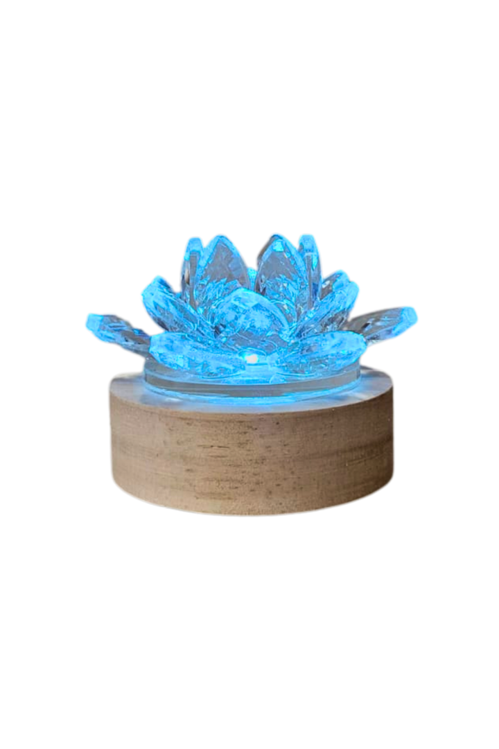 Luminaria lotus 3