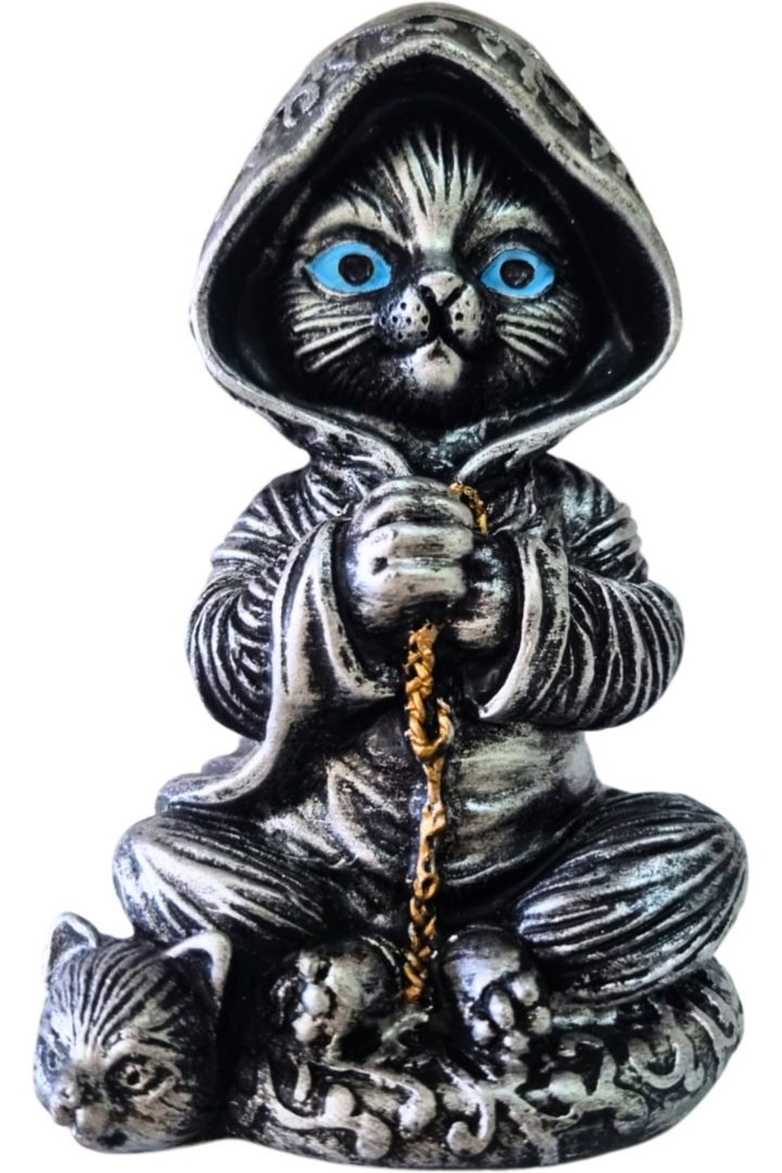 Gato bruxo 3