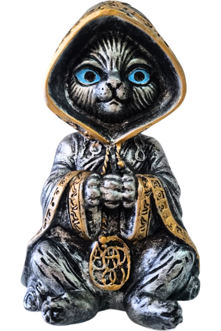 Gato bruxo 4