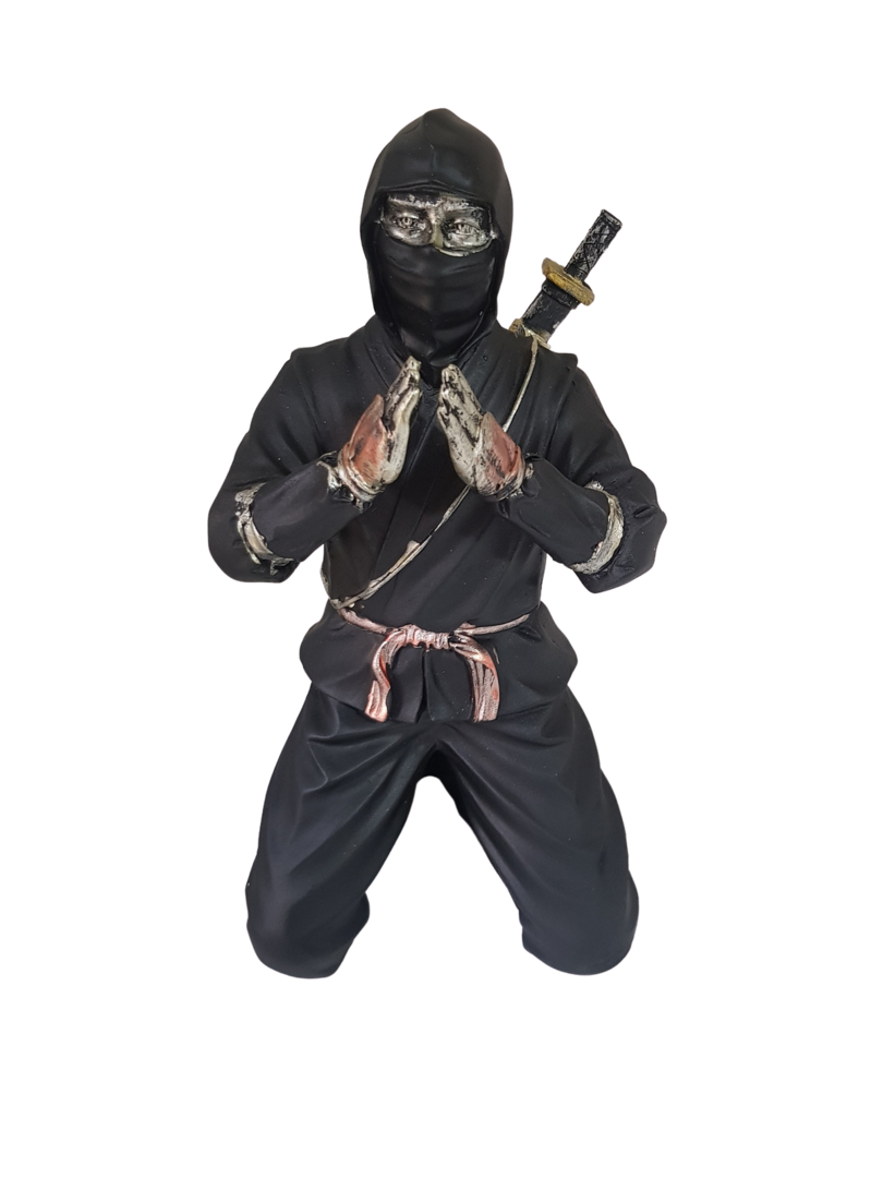 Ninja de joelho editado