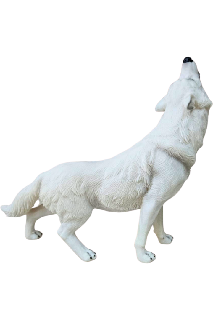 Lobo artico 2