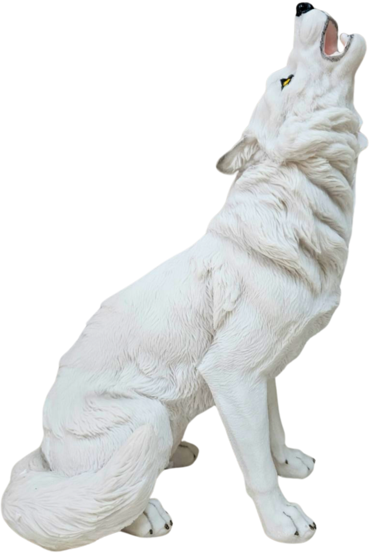 Lobo uivando 1