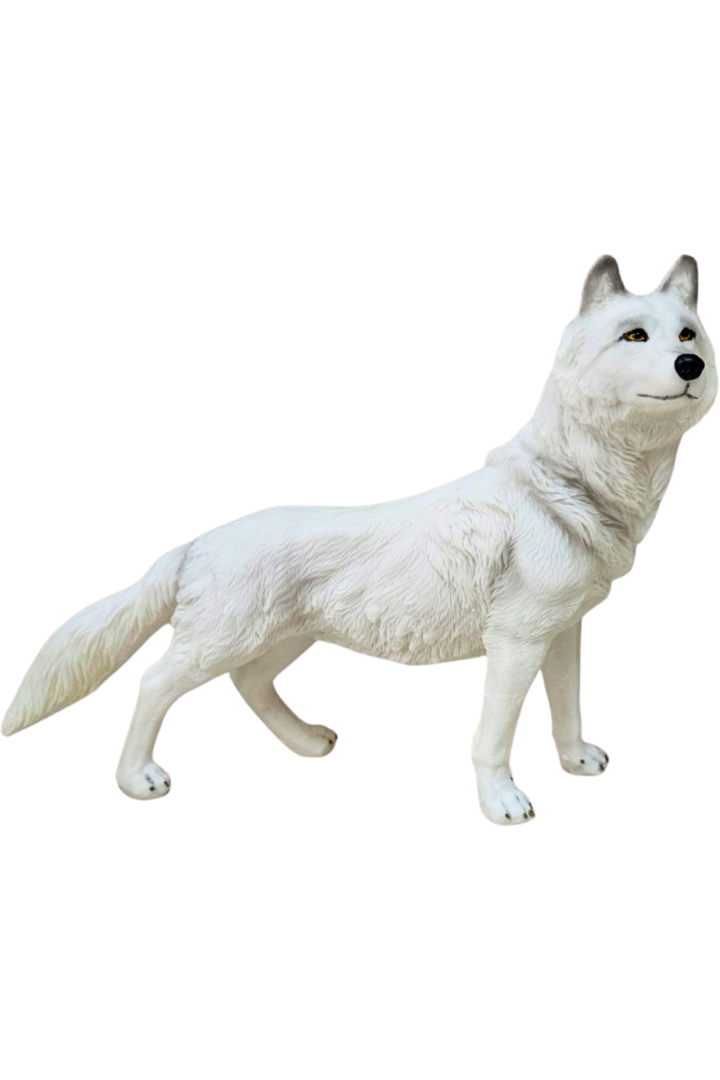 Lobo em pe 1