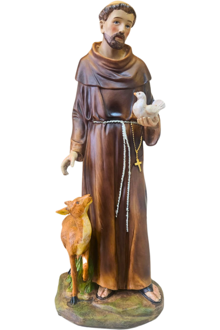Sao francisco 30cm 1