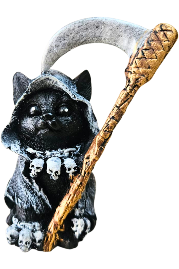 Gato ceifeiro 1