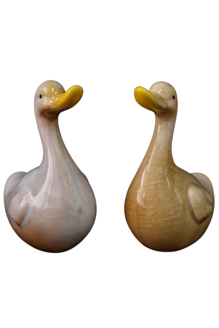 Casal patos porcelana 3