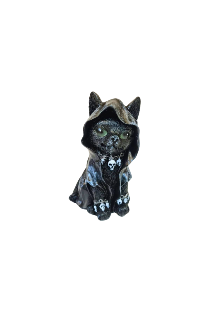 Gato wicca com capuz 1