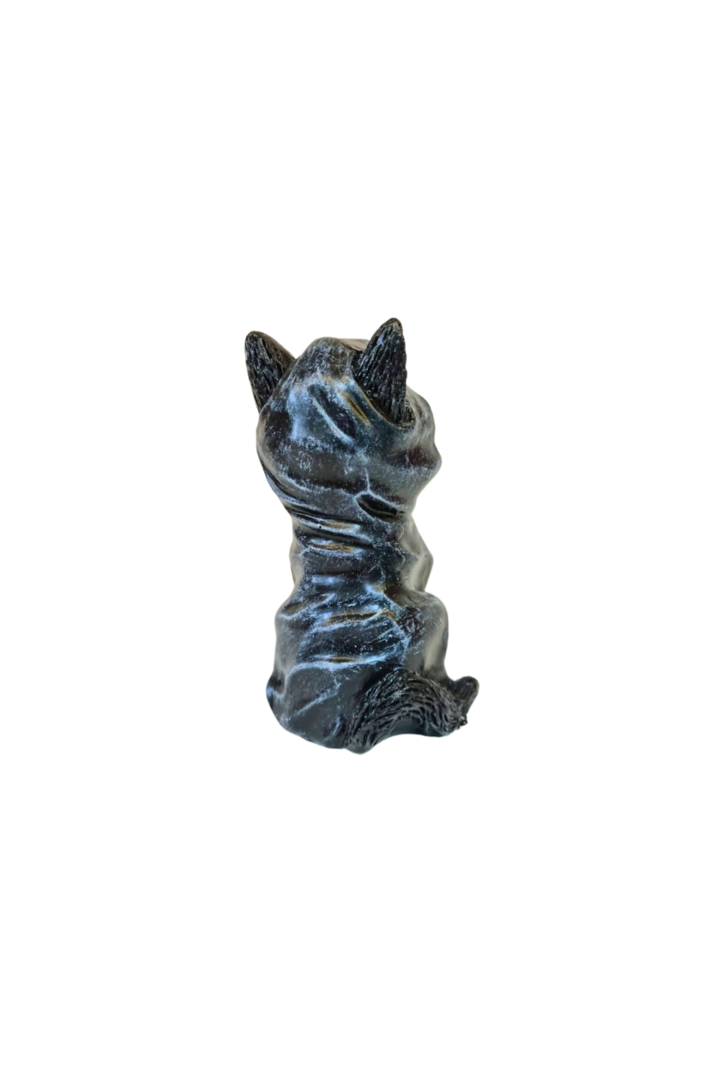 Gato wicca com capuz 3