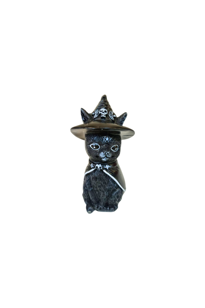 Gato wicca com chapeu 1