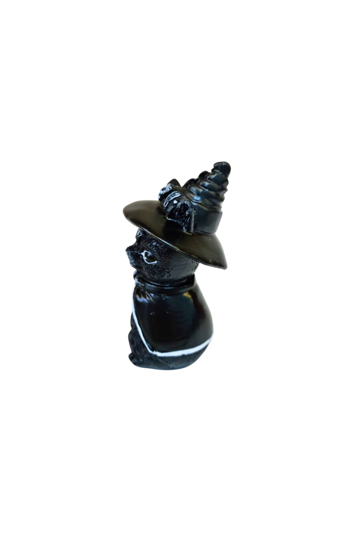 Gato wicca com chapeu 2