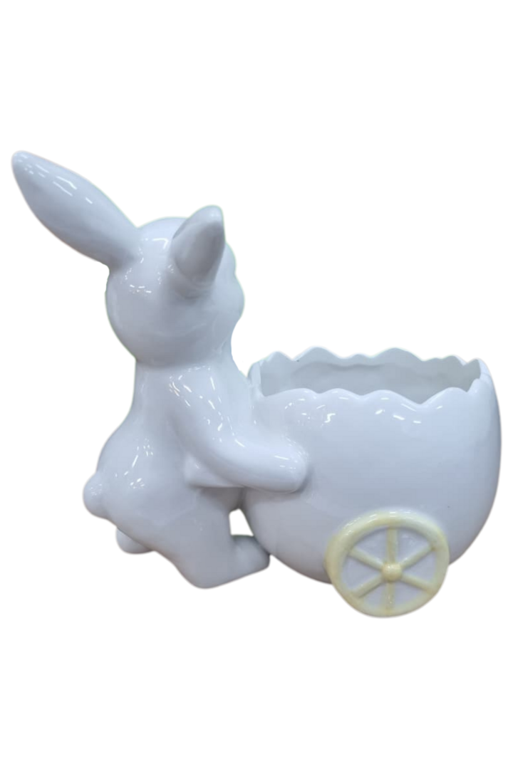 Coelho carrinho 2
